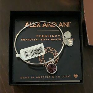 Alex and Ani Silver February Birthstone Bracelet